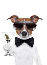 Load image into Gallery viewer, Funny Recordable Audio Voice Greeting Card