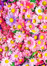 Load image into Gallery viewer, Love Recordable Audio Voice Greeting Card