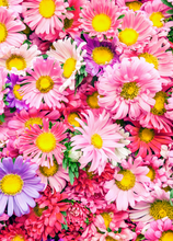 Load image into Gallery viewer, Love Recordable Audio Voice Greeting Card