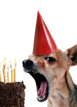 Load image into Gallery viewer, Birthday Recordable Audio Voice Greeting Card
