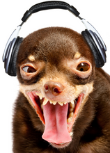 Load image into Gallery viewer, Funny Recordable Audio Voice Greeting Card