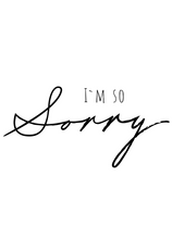 Load image into Gallery viewer, Sorry Recordable Audio Voice Greeting Card