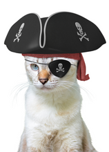 Load image into Gallery viewer, Funny Recordable Audio Voice Greeting Card