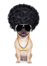 Load image into Gallery viewer, Funny Recordable Audio Voice Greeting Card
