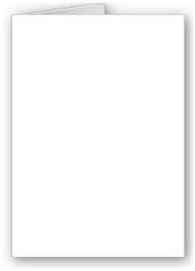 Blan Recordable Audio Voice Greeting Card