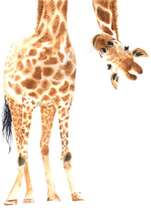 Animals Recordable Audio Voice Greeting Card
