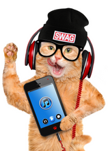 Load image into Gallery viewer, Funny Recordable Audio Voice Greeting Card
