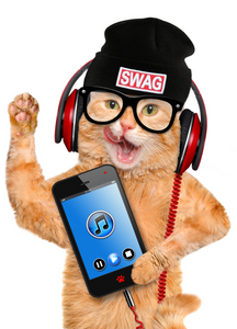 Funny Recordable Audio Voice Greeting Card