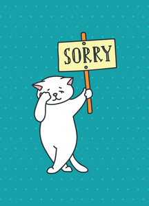 Sorry Recordable Audio Voice Greeting Card