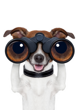 Load image into Gallery viewer, Funny Recordable Audio Voice Greeting Card

