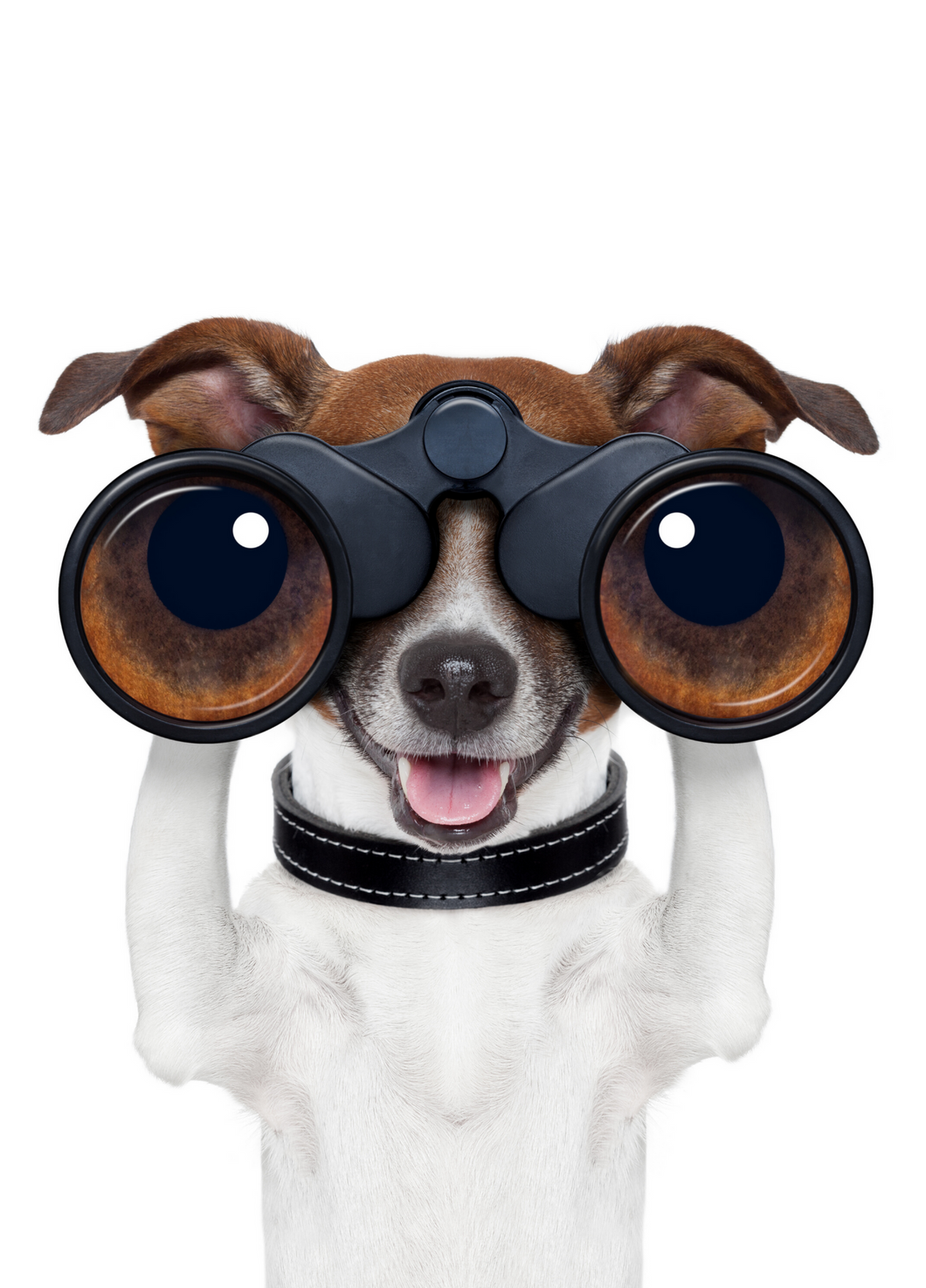 Funny Recordable Audio Voice Greeting Card